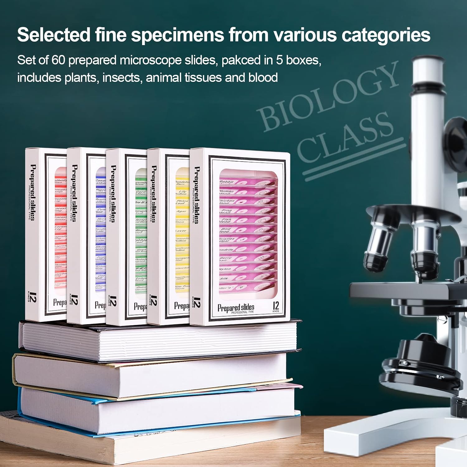 Prepared Plastic Microscope Slides with Specimens for Kids, Microscope Sample Slides Full Range of
