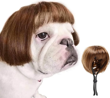 Dog Costume Cat Apparel Dog Toys Curly Braids Headgear Wigs Styling Cute Funny Pet Hair Accessories Decoration for