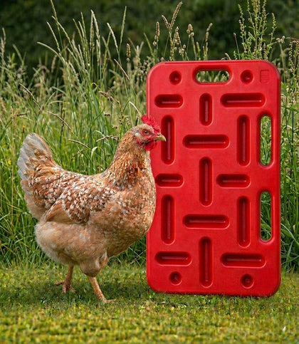 Pig Sorting Board - Livestock Sorting Panel - Cattle Panel, Hog Panels, Mini Pig, Baby Goat Supplies - Show Pig