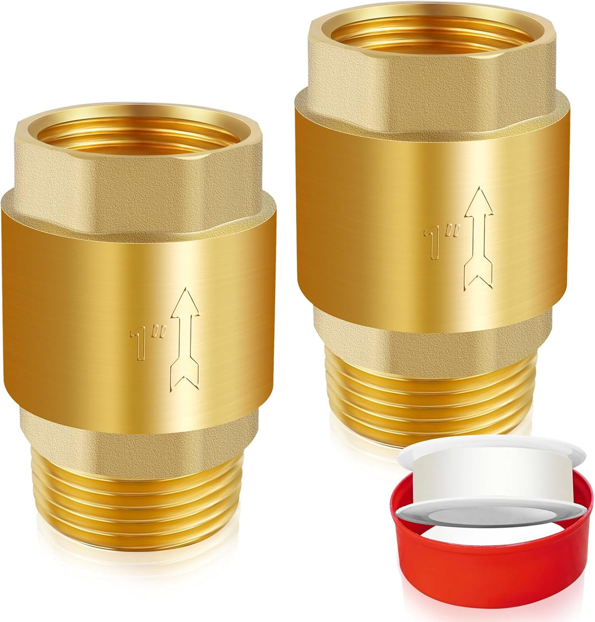 Boltigen 1" Brass Check Valve, NPT Spring One-Way Backflow Preventer
