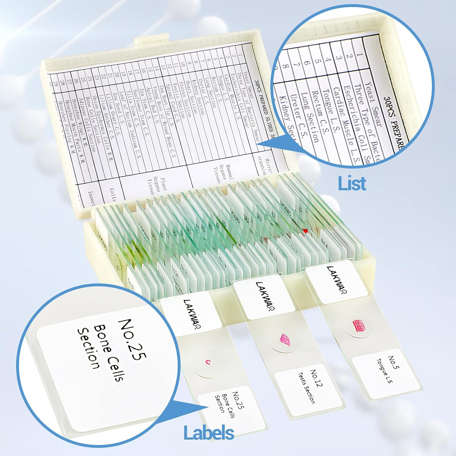 30 Microscope Slides with Specimens for Kids, Prepared Microscope Slides for Kids Microbiology, Glass Slides for