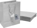 Novel Box Silver Gift Bags with Handles 10 Pack 6.5x3.5x6.5 Inches