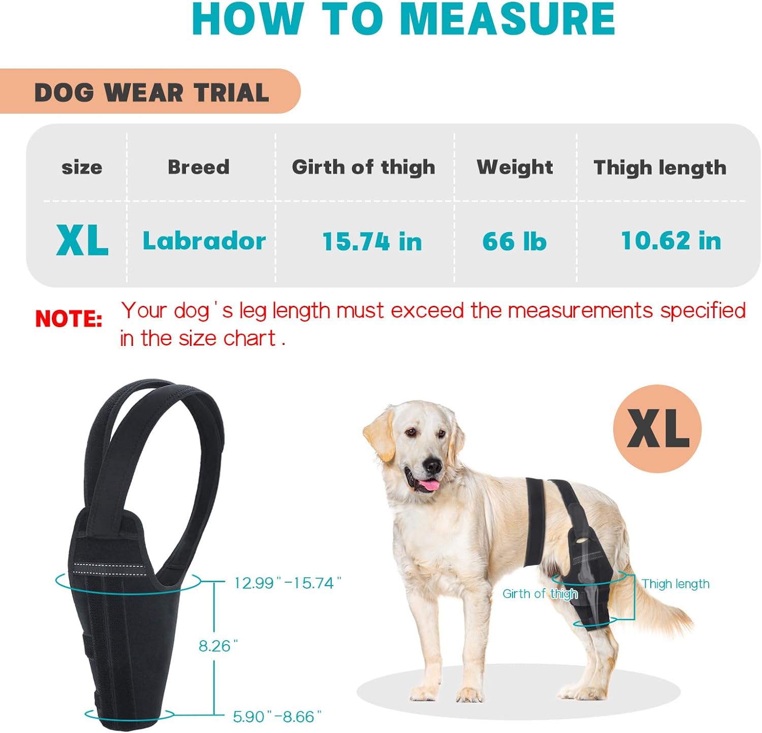 Dog Knee Brace for Torn ACL Hind Leg – Support Dog Leg Brace for Back Leg with 2 Stabilizers, Adjustable Hip Support