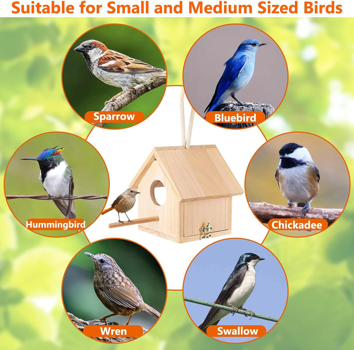 Wooden Bird House Transparent Outdoor Bird House Hanging Nests Box Garden Patio DIY Decorative for Wren Swallow