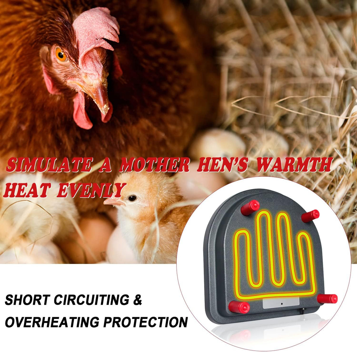 Brooder Heater for Chicks with Comfort Feathers,Chick Duckling Brooder Heating Plate Adjustable Height-Warm Up to 15