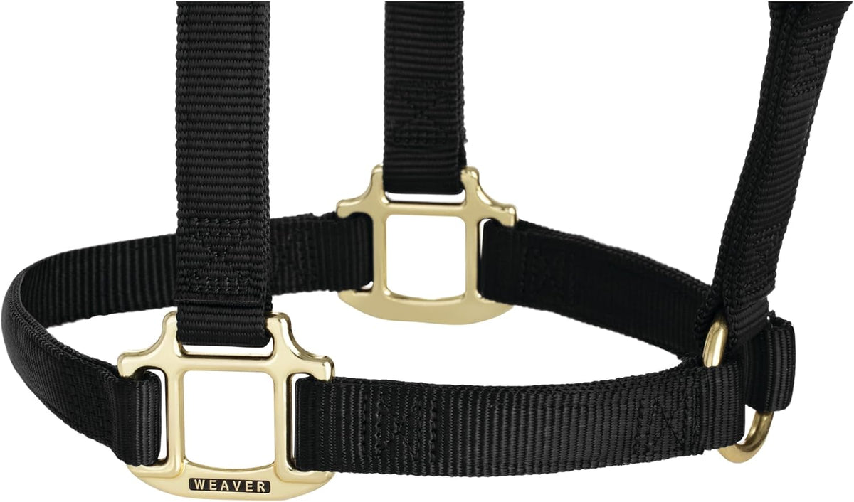 Weaver Leather Original Non-Adjustable Nylon Horse Halter, Black, Yearling