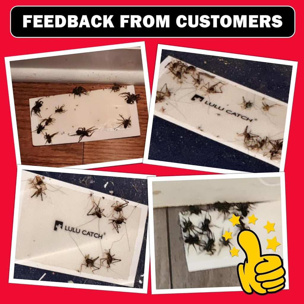 Cricket Insect Glue Traps - 6 Pack Bug Cockroach Sticky Traps, Large Spider Trap with Pre-Baited Attractant, Highly
