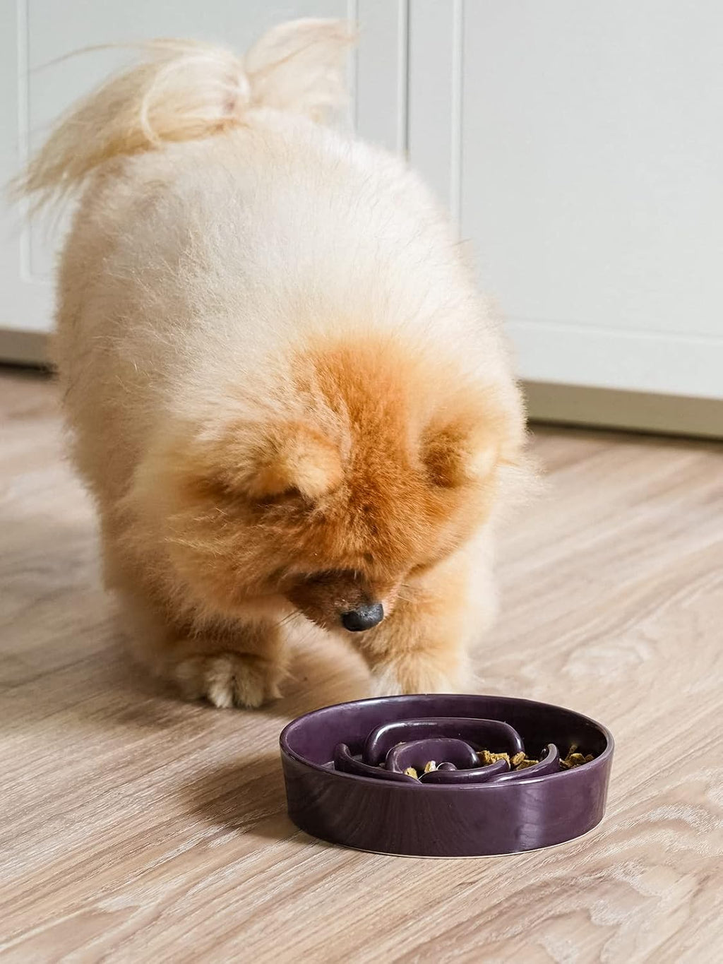 Ceramic Slow Feeder Dog Bowls Small Breed, 0.6 Cups Dog Food Dish for Fast Eaters, Puzzle Bowl for Small Dogs and