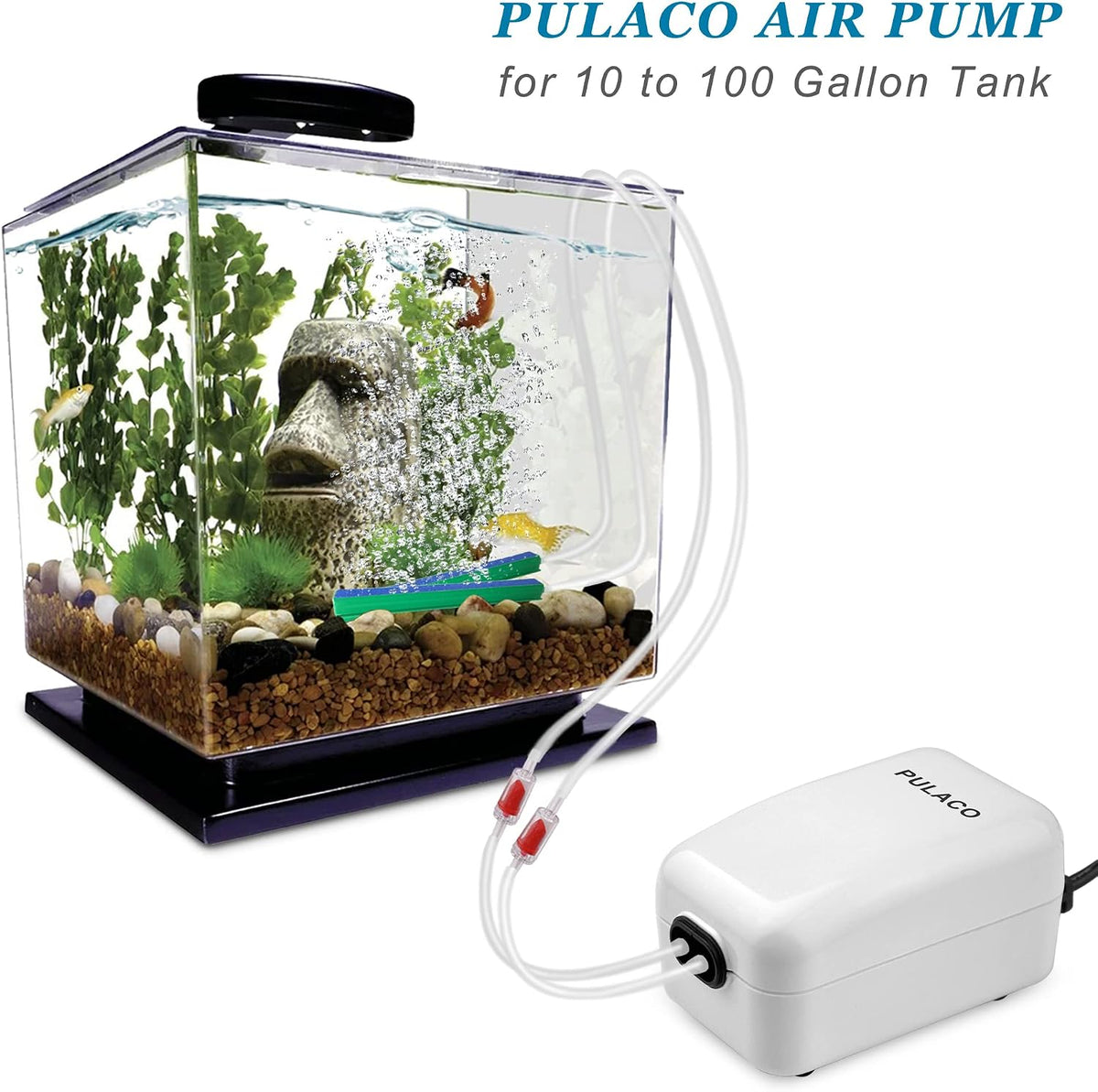 Dual Outlet Aquarium Air Pump, Quiet Oxygen Pump with Accessories for 10 to 100 Gallon
