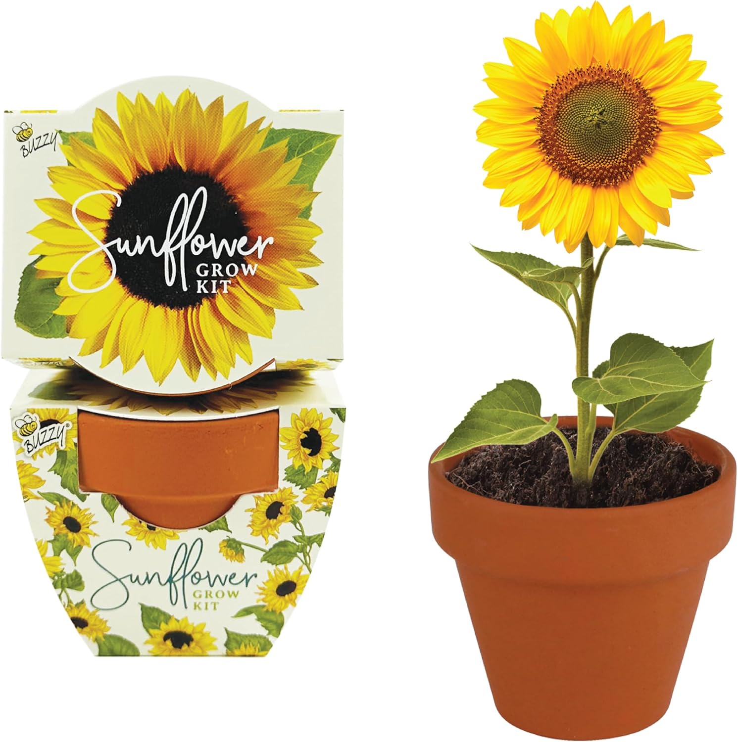 Seeds All-in-One Sunflower Grow Kit 12-Pack - Mini Terracotta Pot Grow Set - Complete Indoor/Outdoor Gardening Kit