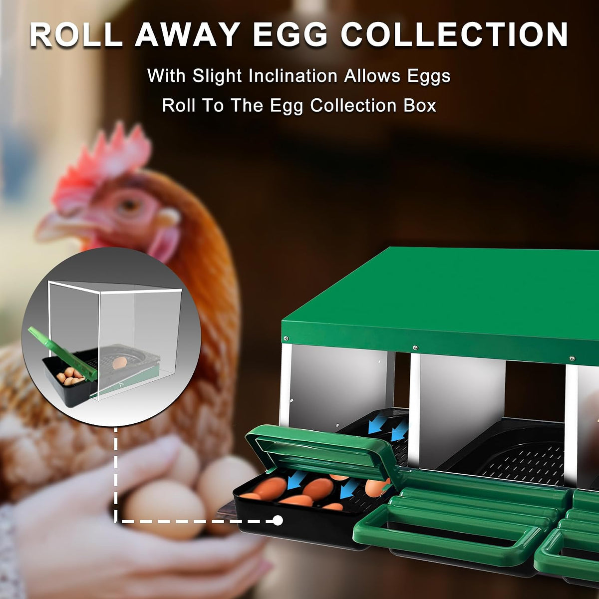 Chicken Nesting Box, 3 Compartments Chickens Egg Laying Nest Boxes for Hens Green