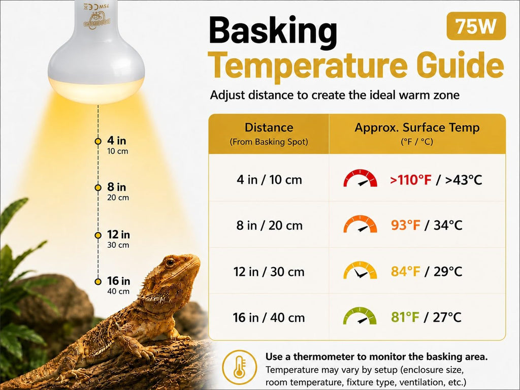Reptile Heat Lamp Bulbs, 75W 2 Pack