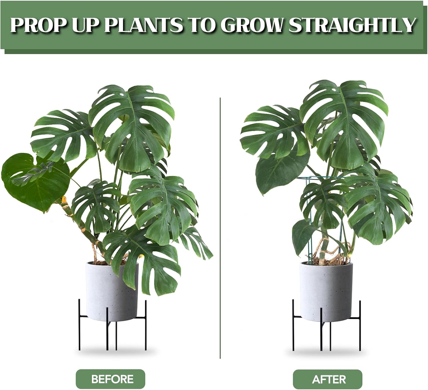 12 Pack Plant Support Stakes, 16 Inch Plant Stakes for Outdoor Plants, Peony Cages and Supports, Peony Cage with 15