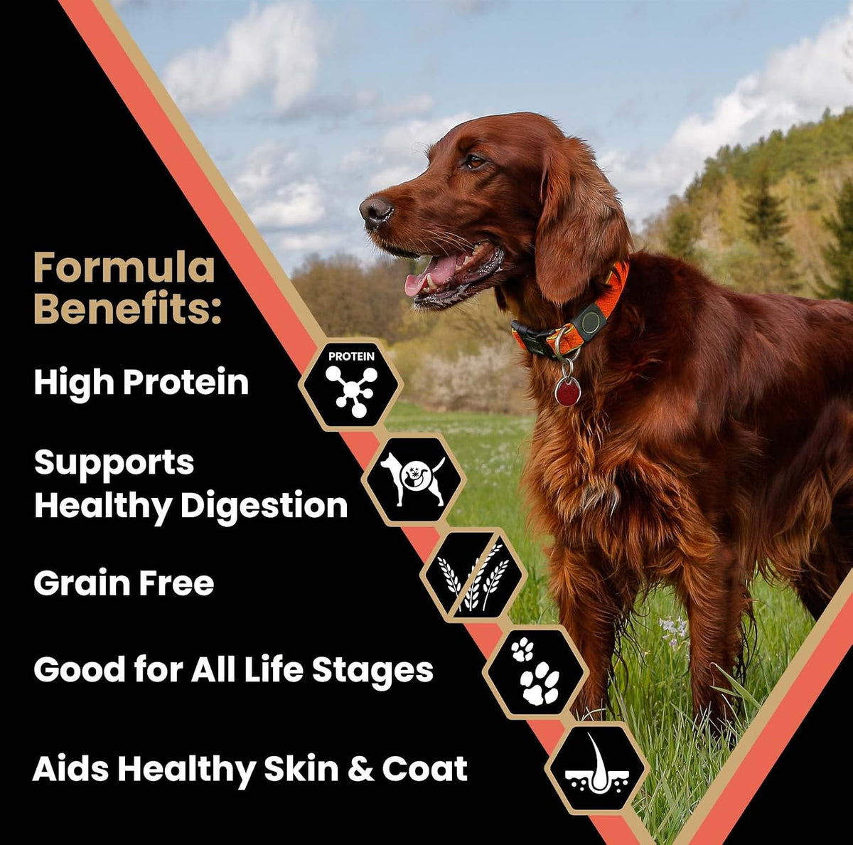 Grain Free Yukon River Canine - High Protein Dry Dog Food, 5 lb