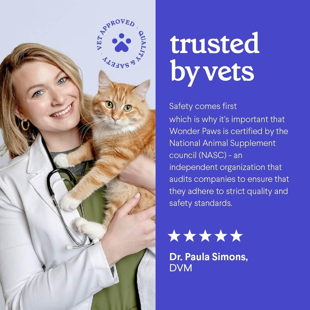 Premium L-Lysine Supplement for Cats – for Immune Support, Sneezing, Runny Nose, Watery Eyes & Nasal Health– 60ML