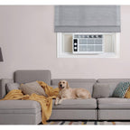 5,000 BTU Window Air Conditioner & Dehumidifier, White