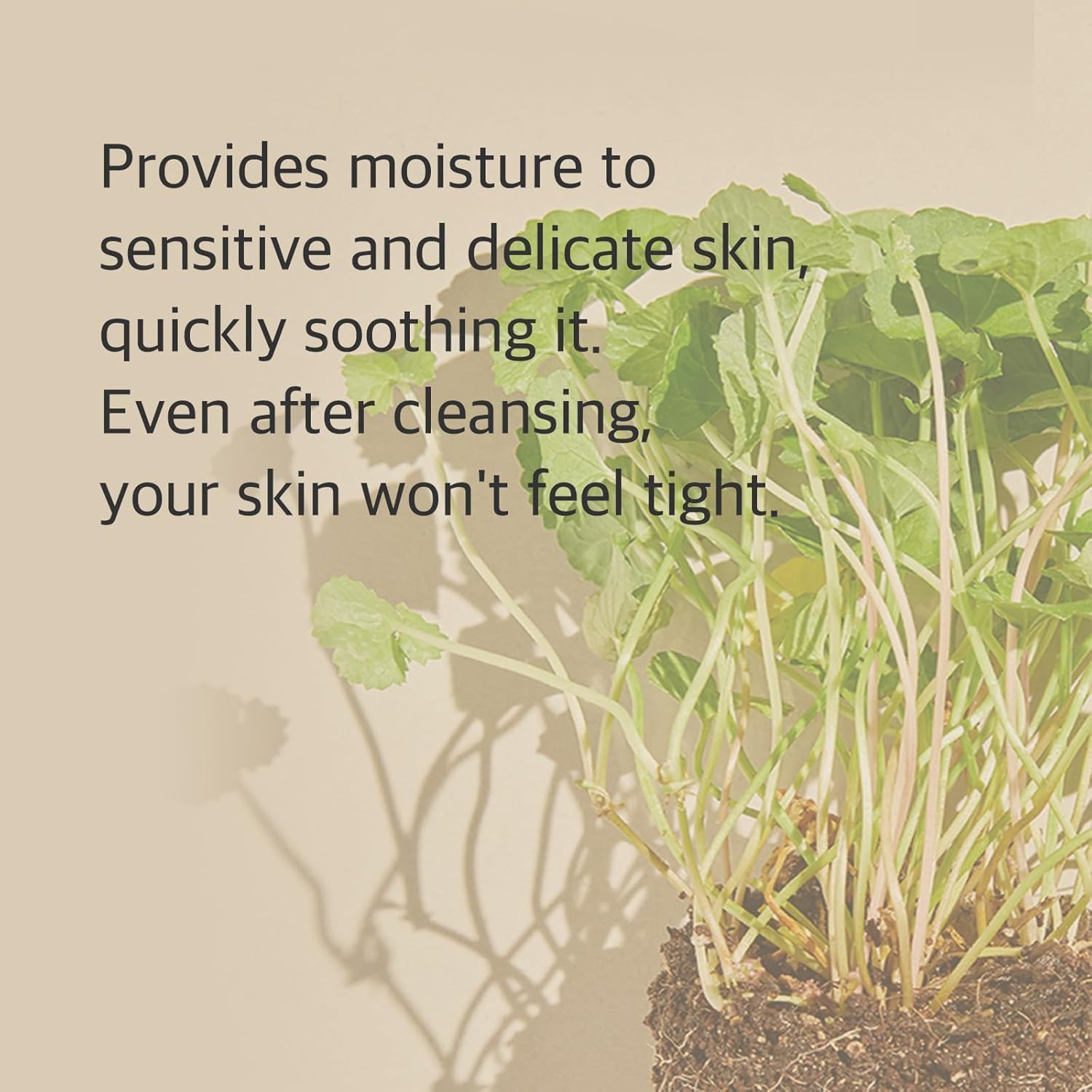 Centella Cleansing Foam Face Wash with Cica, Low pH Cleansing and Soothing for Face, Hydrating Formula 150ml / 5.07