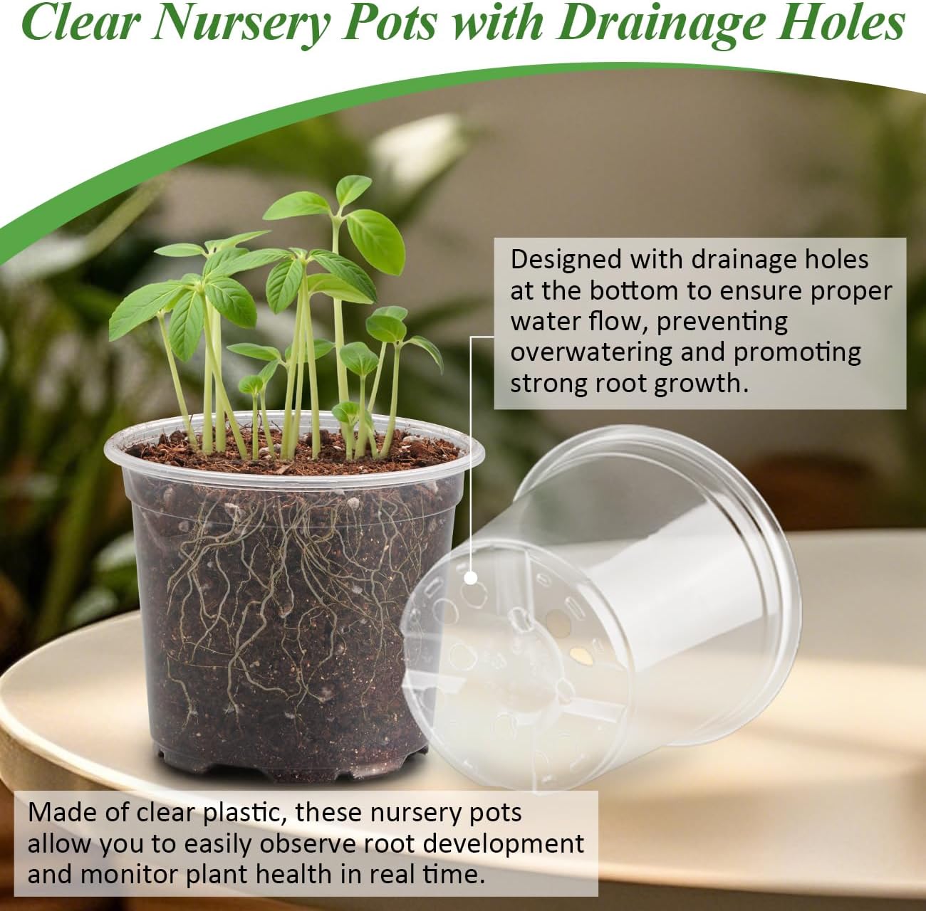 60 Pack Clear Nursery Pots with Humidity Domes, 4 Inch Plastic Plant Pots with Drainage Holes for Seedlings