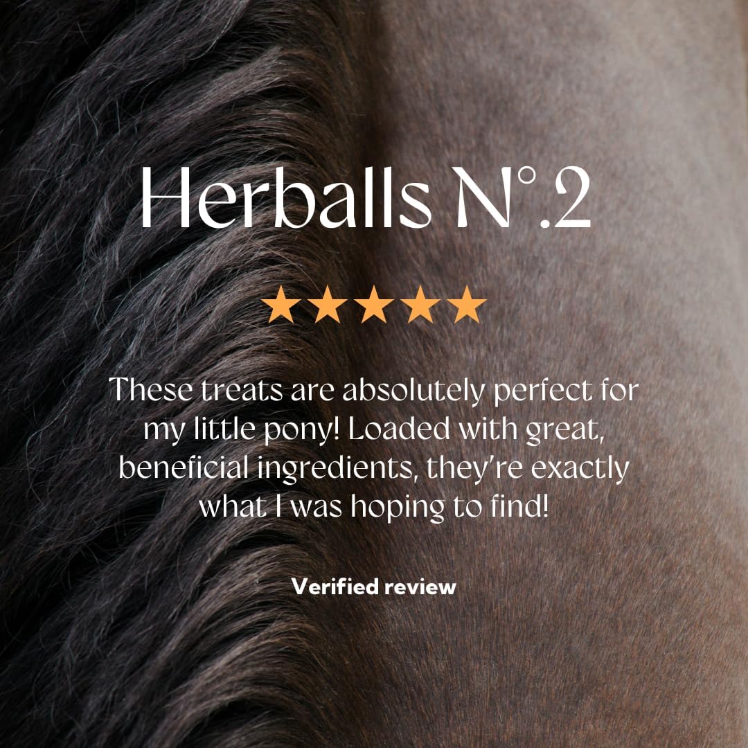 Herballs No.2 - Turmeric & Ginger All-Natural Treats for Horses 2kg (4.4lb) Bag, Equine Supplement