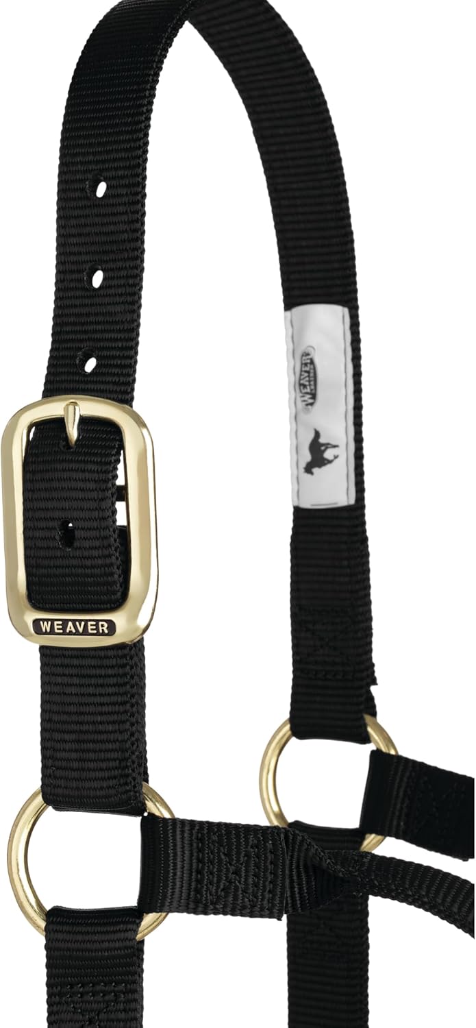 Weaver Leather Original Non-Adjustable Nylon Horse Halter, Large, Black