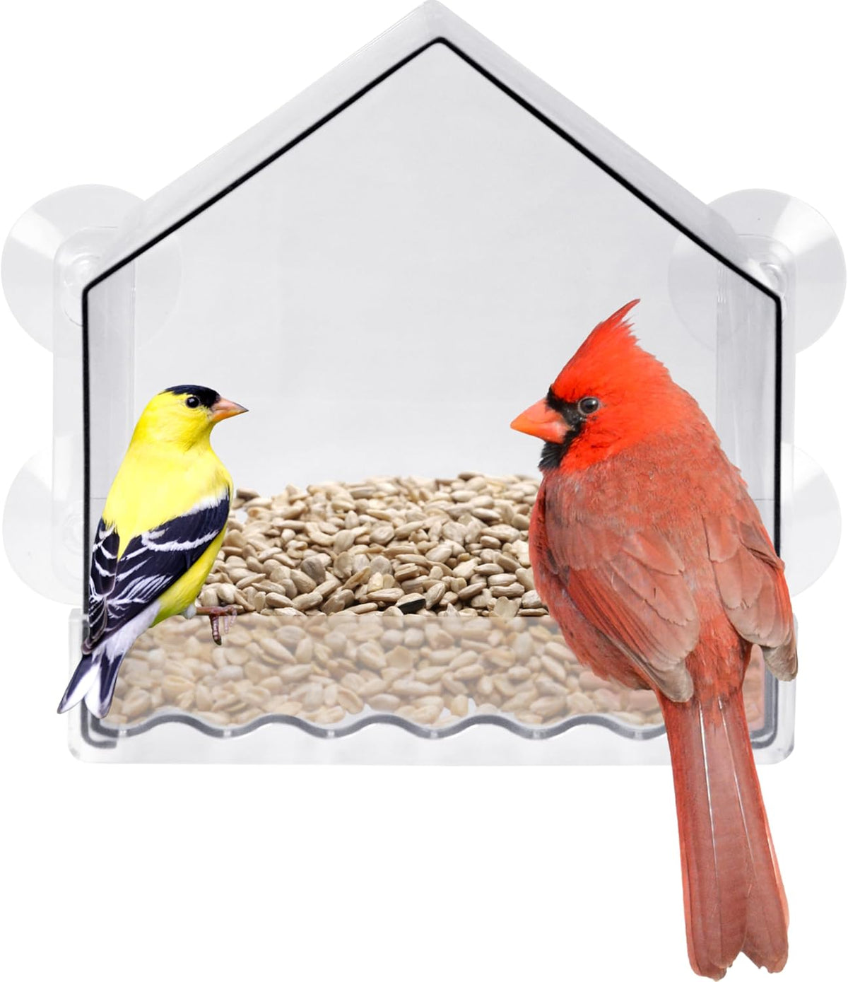 Nature’s Way Crystal Window Seed Feeder with 4 Secure Suction Cup Mount, Clear 2-Cup Capacity Hanging Bird Feeder for
