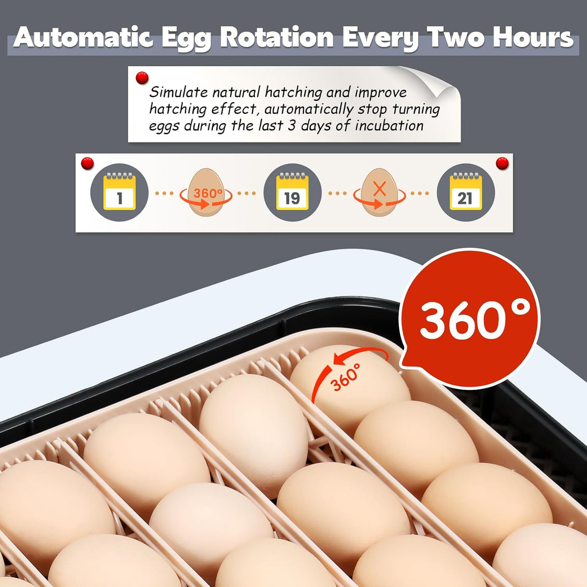 56 Egg Incubator for Hatching Eggs with Automatic Egg Turning Gray