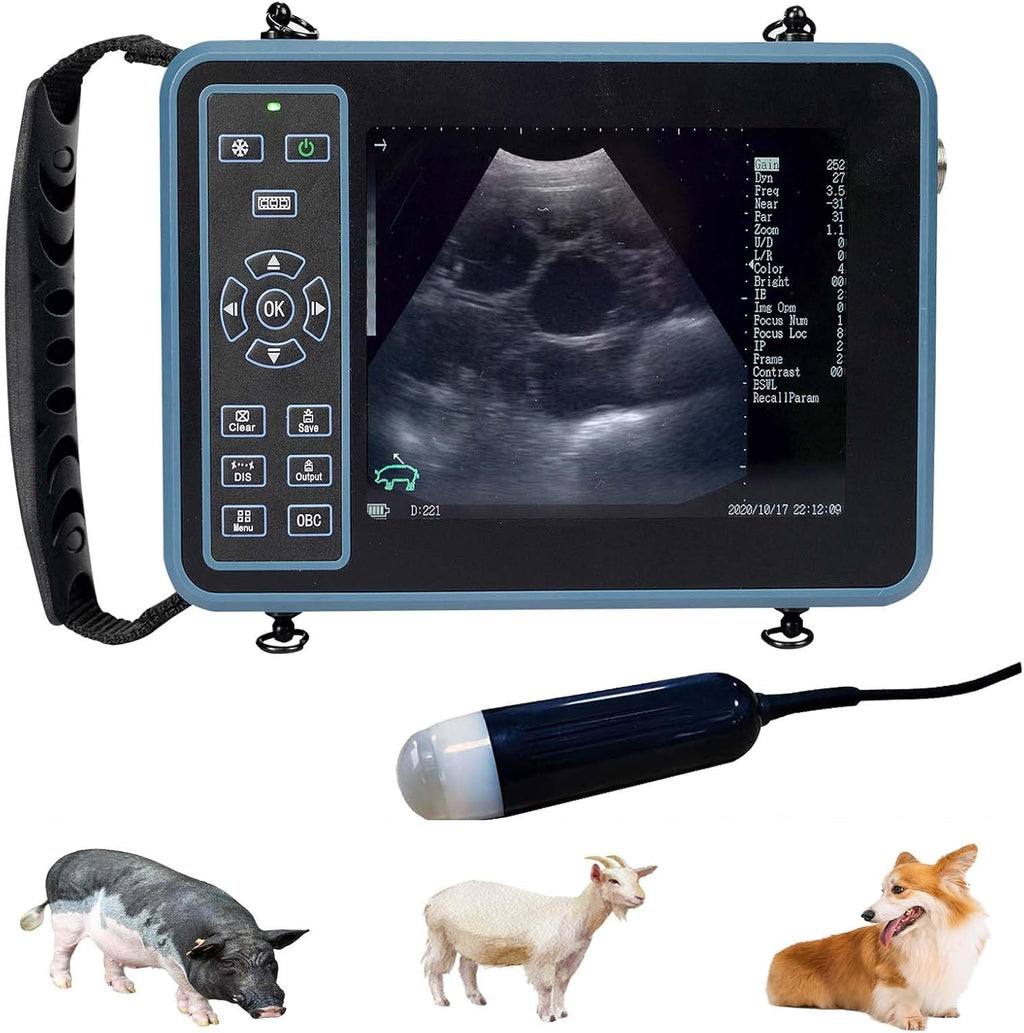 Vet Ultrasound Machine for Pregnancy Veterinary Ultrasound Scanner with 3.5Mhz Convex Probe for Sheep，Goat,Pig