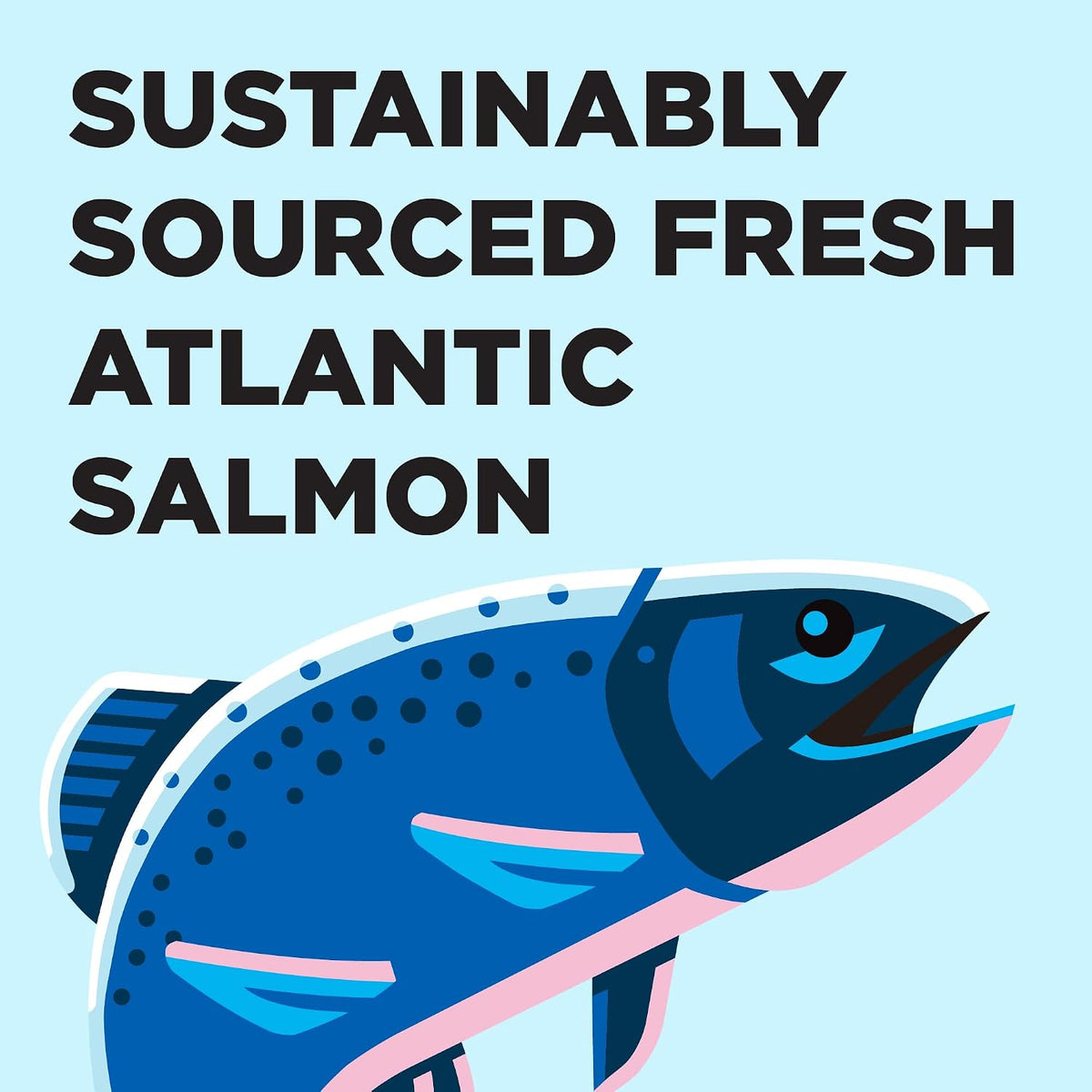 Liberty Dry Food Salmon Recipe for Cats, 3lb