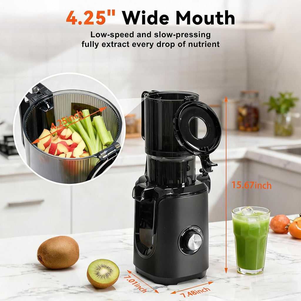 Cold Press Juicer Machines for Vegetables & Fruits, Black | Slow Masticating Juicer Machine with Reverse Function