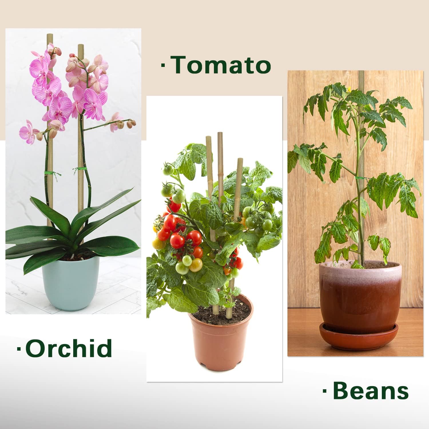Plant Stakes,18 Inches Natural Garden Bamboo Sticks,BOVITRO 20Pcs Plant Support Stakes for Tomatoes,Beans,Vegetable