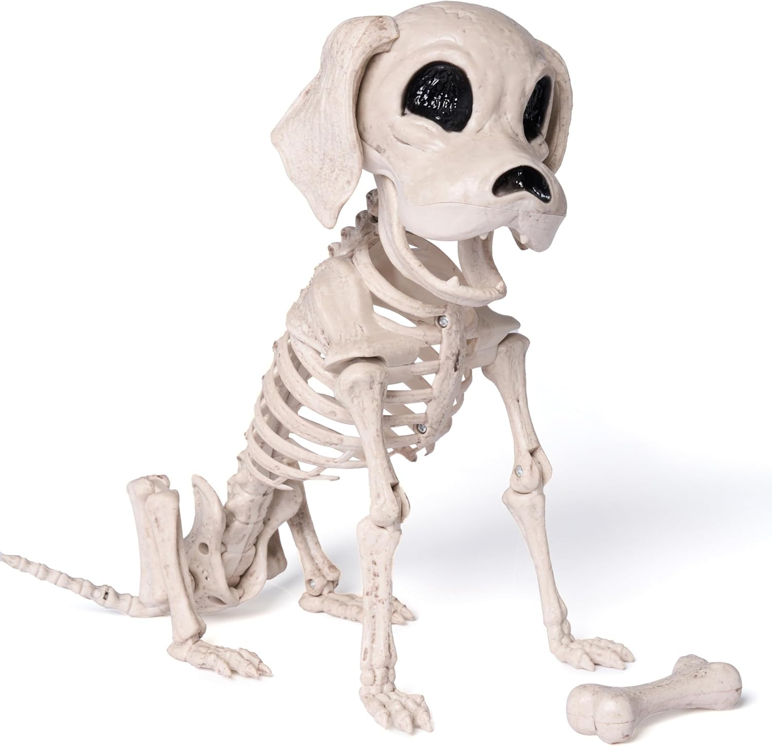 Posable Halloween Dog Skeleton Full Body Posable Joints Realistic Skeleton Puppy with Movable Joints for Halloween