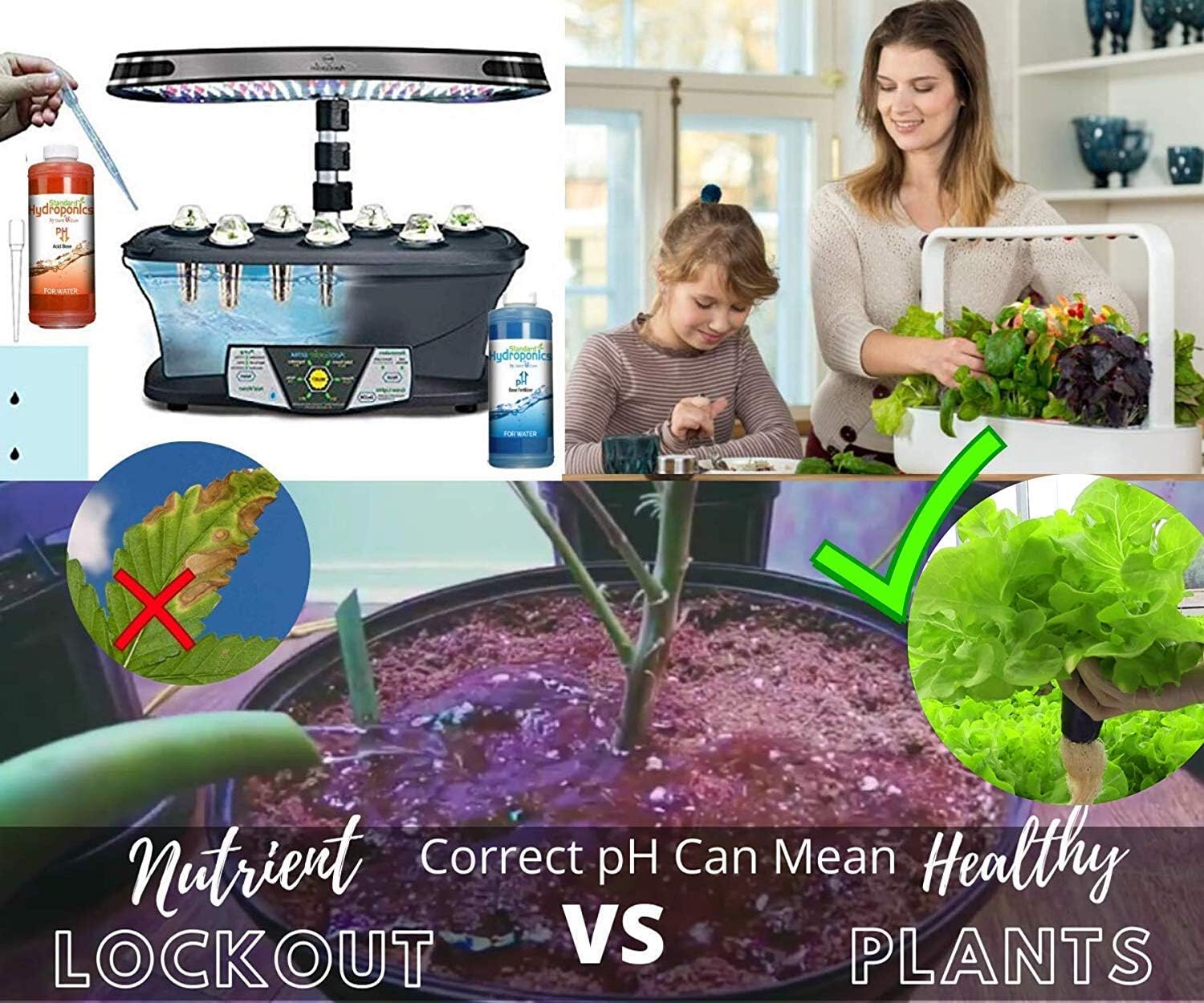 Standard Hydroponics pH Up and Down Kit - 10 Ounce Bottle pH Adjuster for Hydroponic Systems, Coco Coir Even Soil.