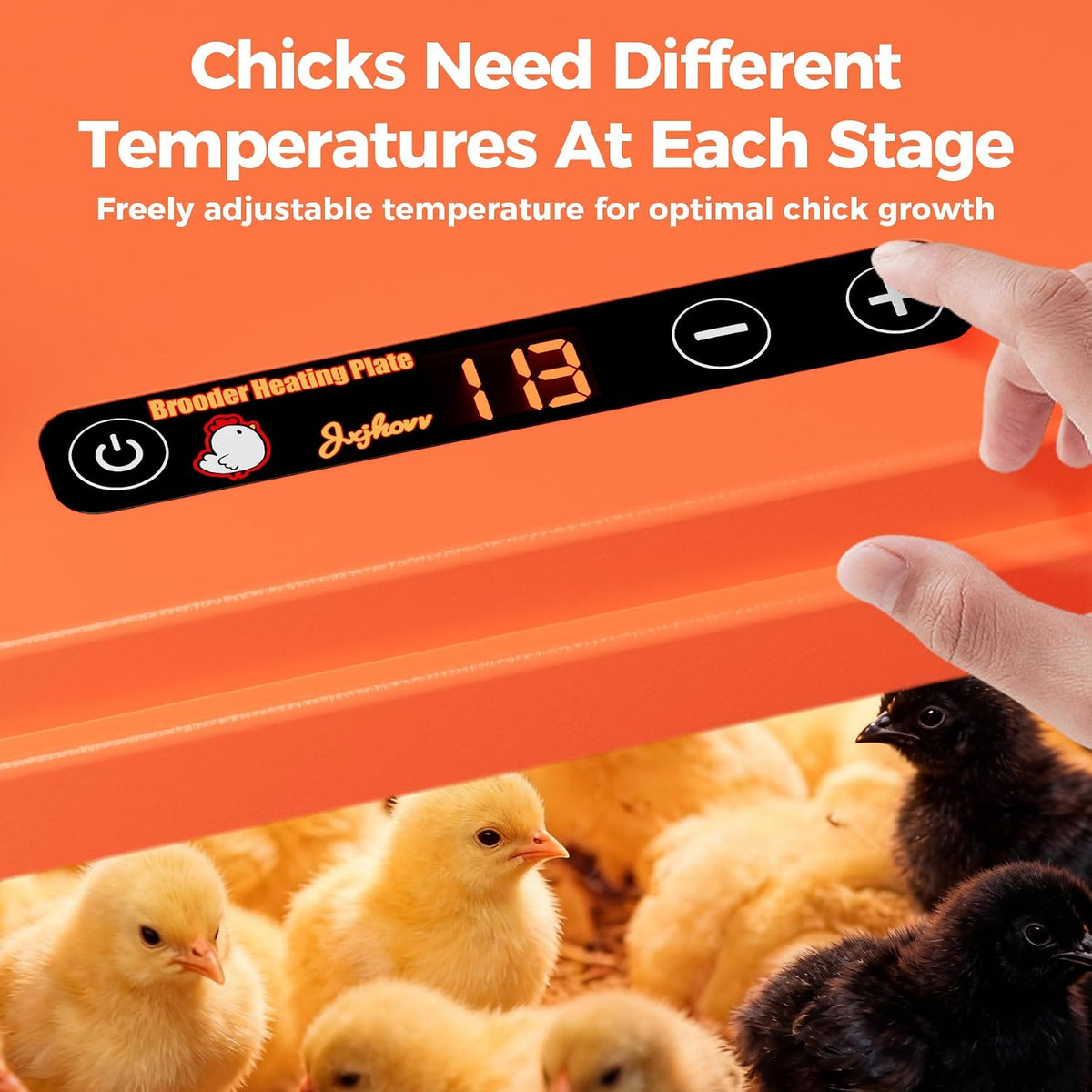 Smart Chick Brooder Heating Plate 10"x10" with Digital Temp Control (95℉-149℉), Stepless Adjustable Height &