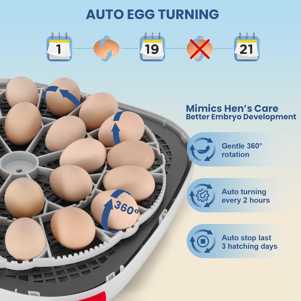 24 Egg Incubators for Hatching Eggs, 360° View with 4 Modes, Blue