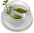 Terra Gel Plant Propagation Seed Starter Tray with Glass Dome – Advanced Technology Gardening Supplies Plant