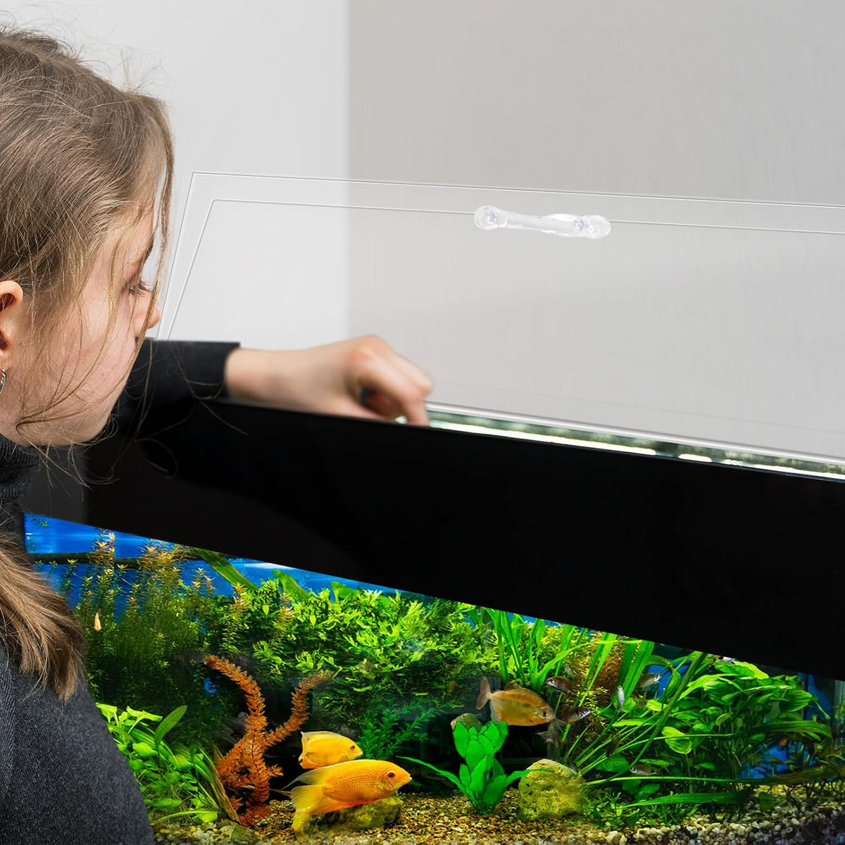 Aquarium Polycarbonate Canopy Set 29 x 11.38 x 0.12 Inch for 20/29/37 Gallon Without Center Brace Aquariums Cover