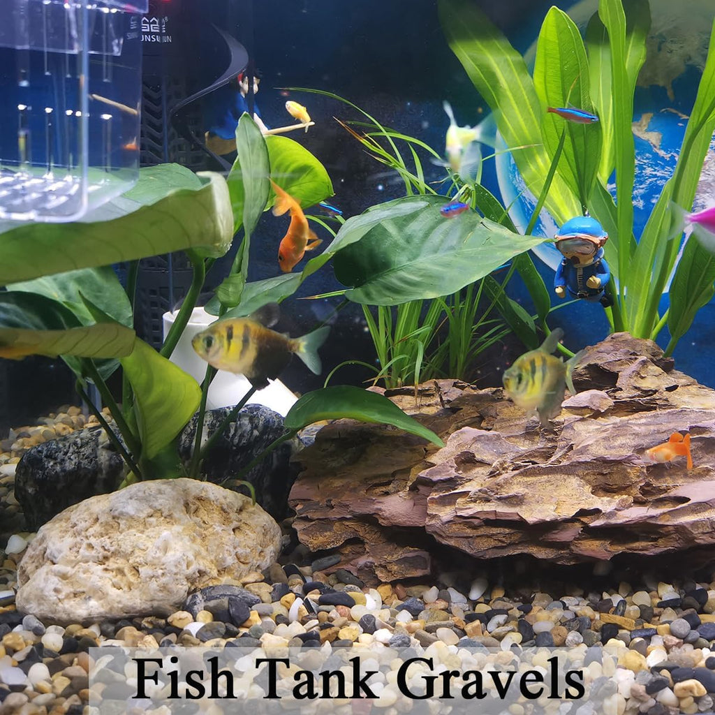 2 lbs Aquarium Gravel, 1/4 inch Pea Gravel for Fish Tank | Natural Pebbles River Rocks for Plants, Succulent, Vase