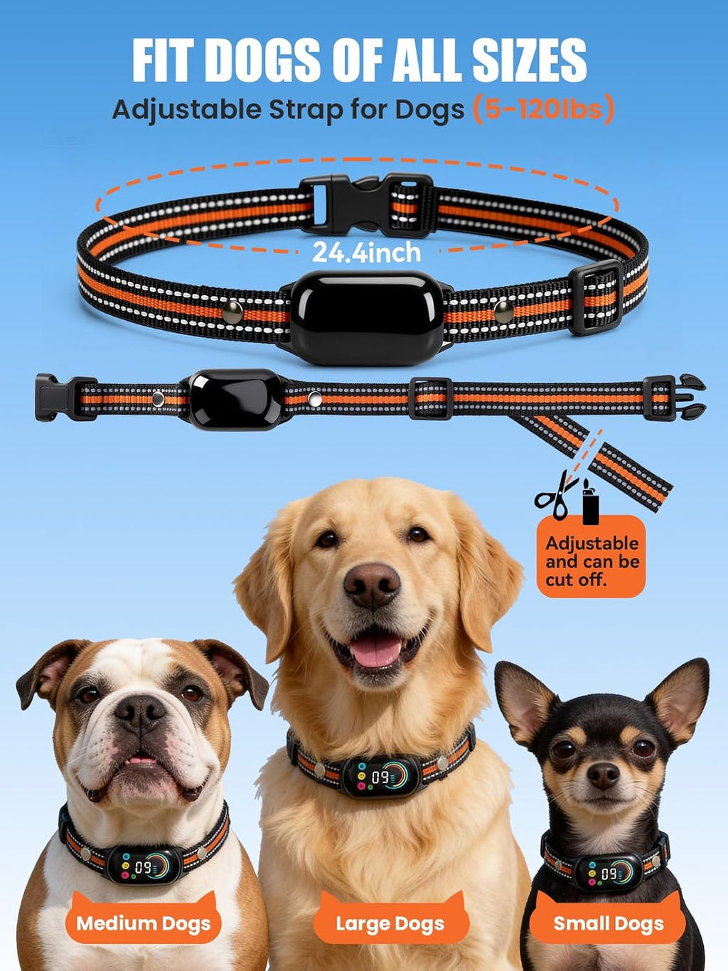 2-in-1 Dog Bark Collar with Remote & Training Collar, 5-120 lbs