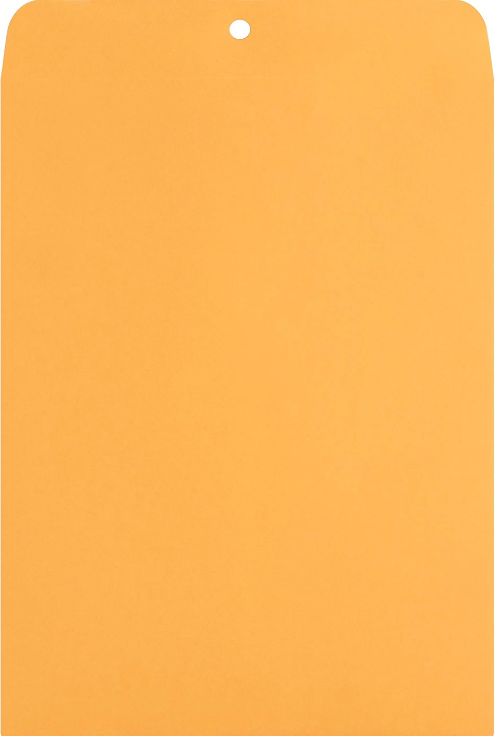 Clasp Envelopes (NAT00857)