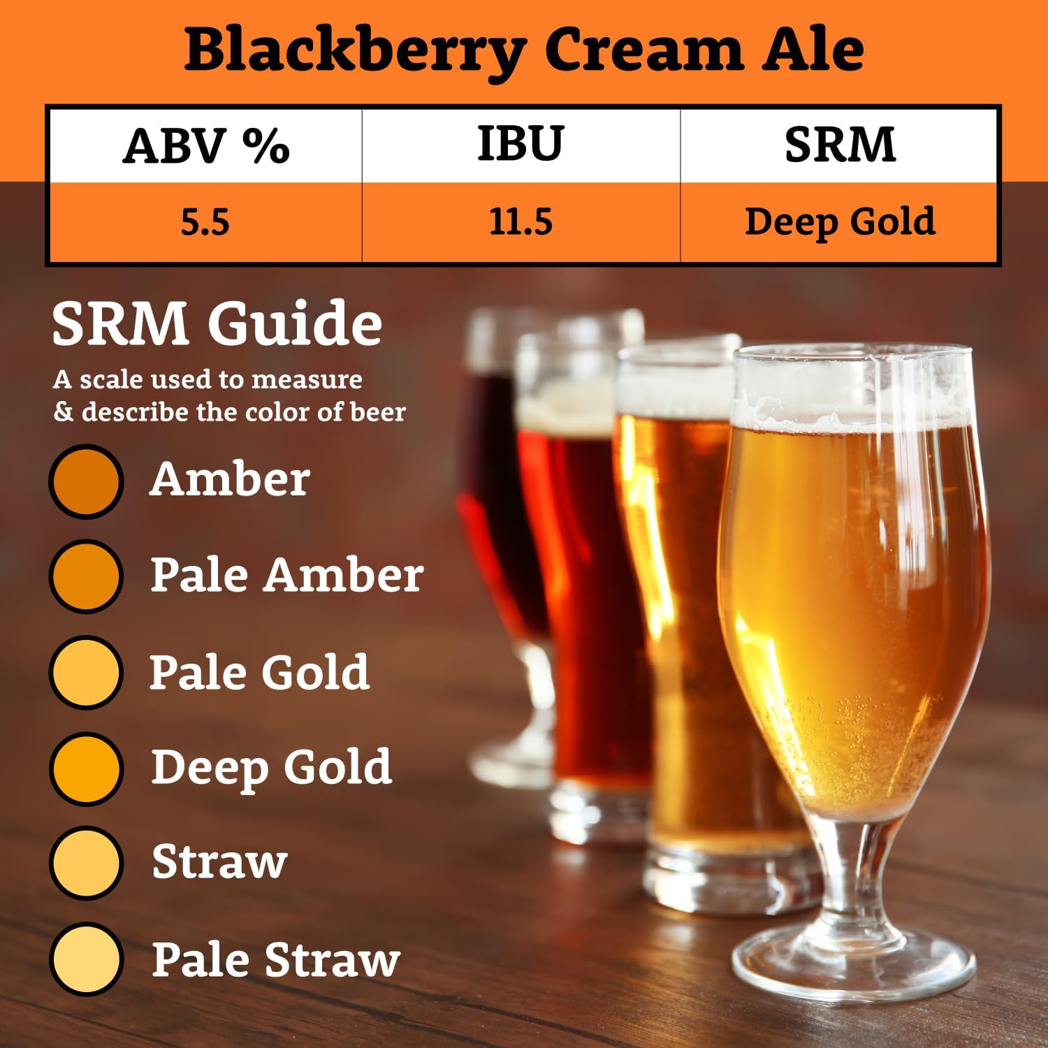 Blackberry Cream Ale Extract Kit | Golden Light & Pale Dry Malt Extract | Natural Blackberry Flavoring | Willamette
