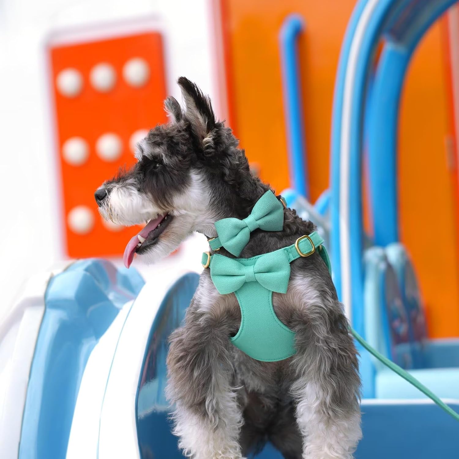 Adorable Small Dog Harness Collar and Leash Set,Cute Puppy Harness Set with 3 Bows for Small Dogs,Shih