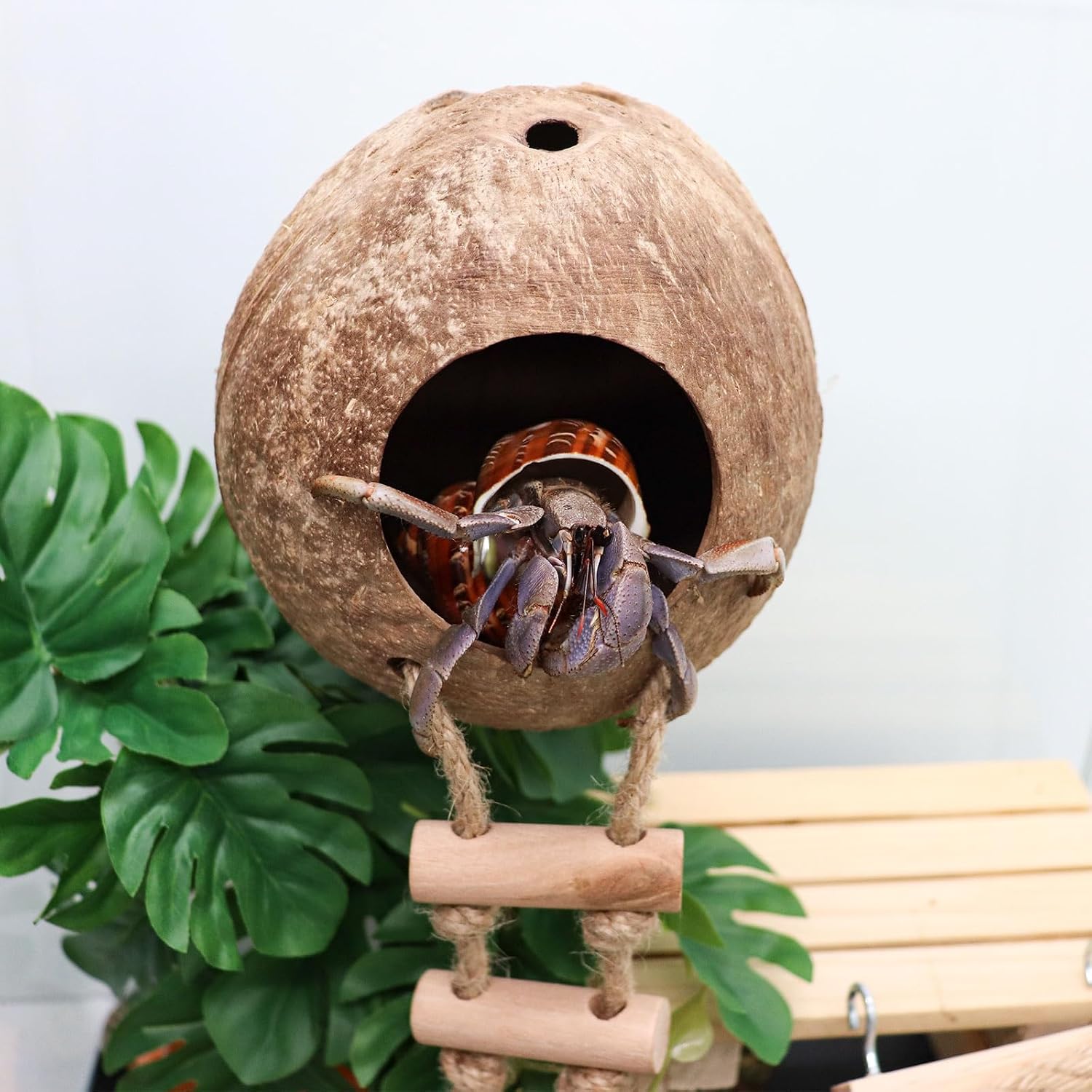 Hermit Crab Climbing Toy, Natural Coconut Reptile Hideout with Ladder, Hanging Coconut Reptile House, Cage or Tank