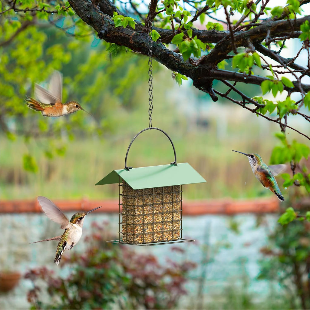 Bird Feeder for Outdoors, Squirrel Proof Suet Feeder for Outside Hanging