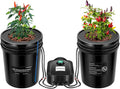 DWC Hydroponics Grow System with Top Drip Kit 2 Buckets | 5-Gallon Deep Water Culture, Recirculating Drip Garden