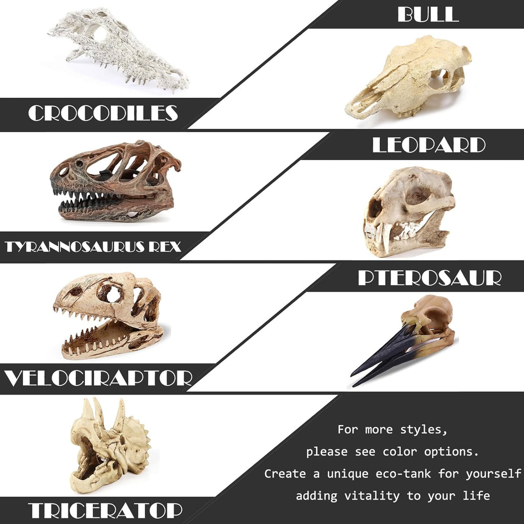 Fish Hideout Aquarium Décor Decorations Dinosaur Skull Fish Tank Decor Cave Dinosaur Skull Betta Animal Halloween