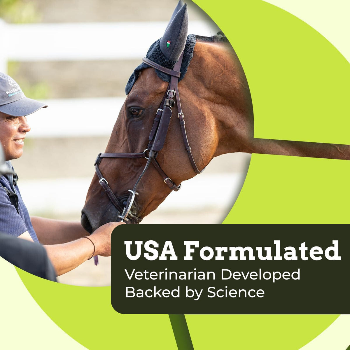 SynChill Horse Calming Supplement Gel, 2 Pack | Composure & Focus