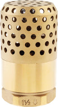 3/4 inch BSP Foot Valve DN20 Female Thread Check Valve with Strainer Filter