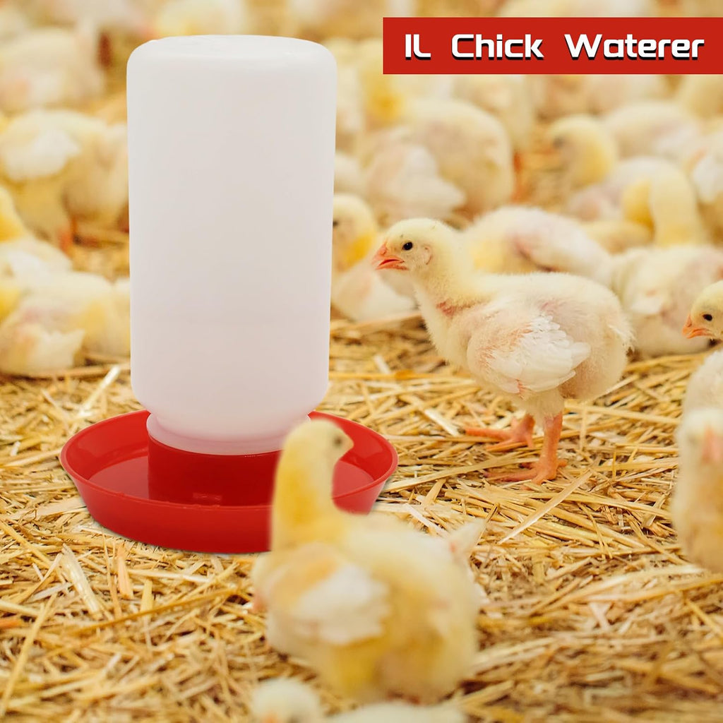 Chicken Feeder and Waterer Kit