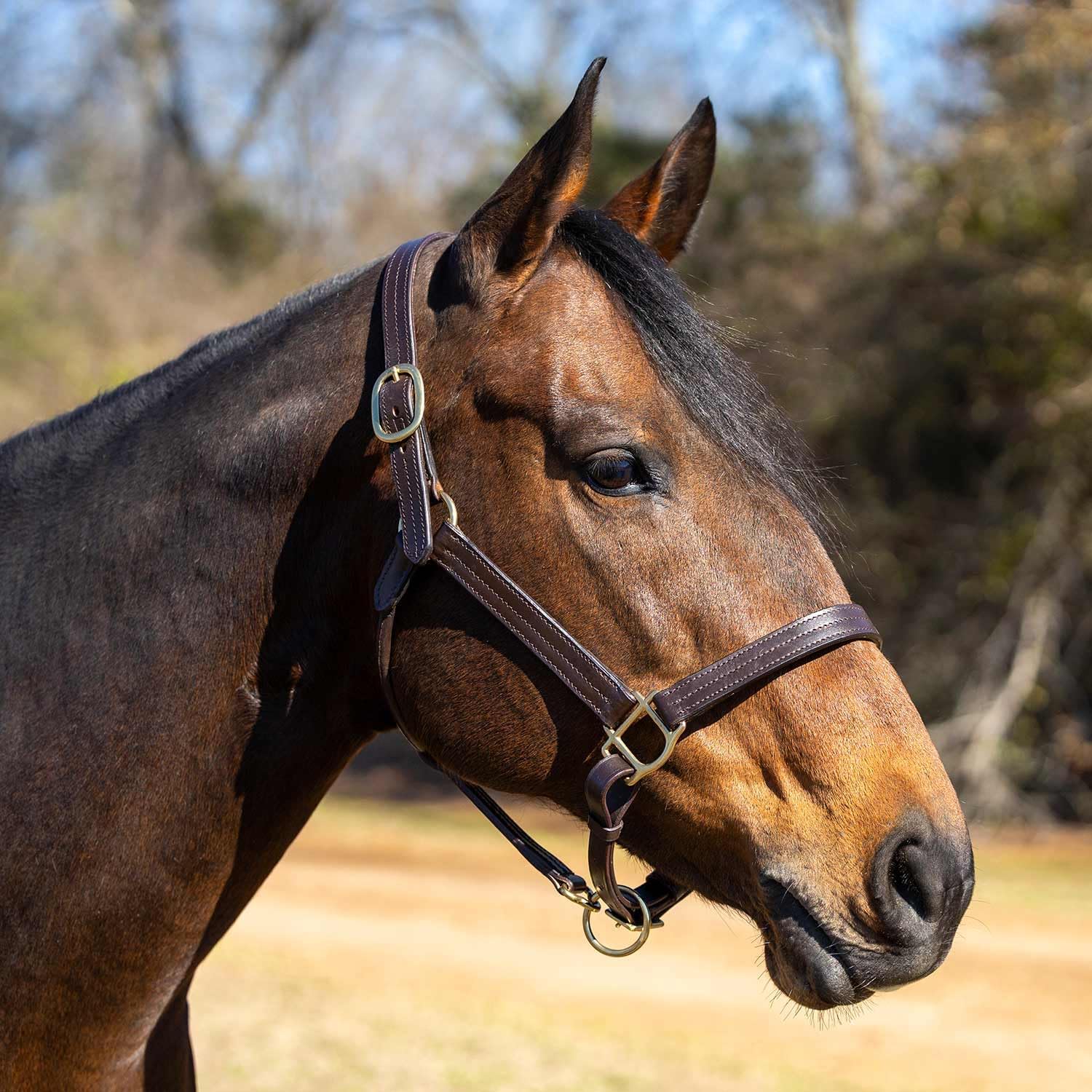 Versailles Triple Stitched Leather Horse Halter with Double Buckle Crown & Throat Snap, Adjustable Premium Leather
