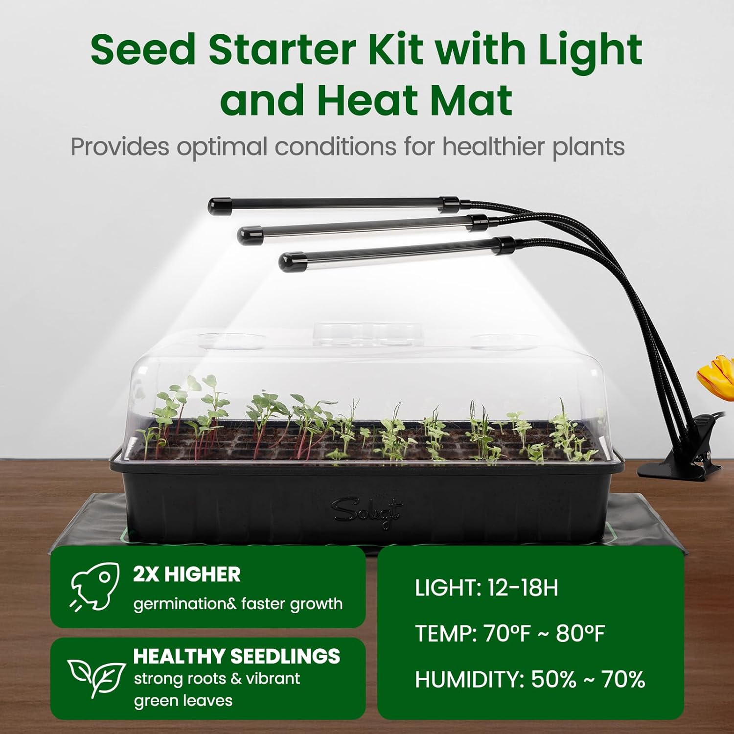 60 Cell Seed Starter Kit with Grow Light and Heat Mat, Seed Starter Tray with Higher 4.3” Humidity Dome, Flexible